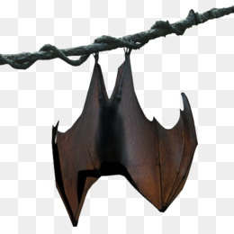 Detail Hanging Bat Png Nomer 5