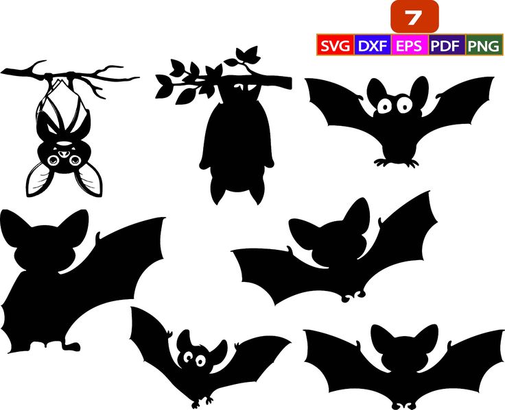 Detail Hanging Bat Png Nomer 40