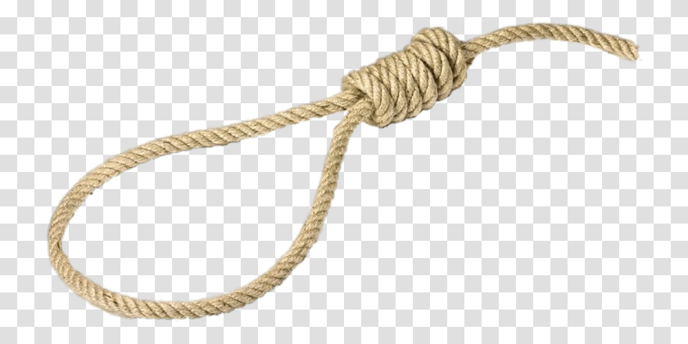 Detail Hanging Rope Png Nomer 29