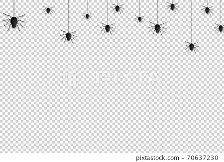 Detail Hanging Spider Png Nomer 38