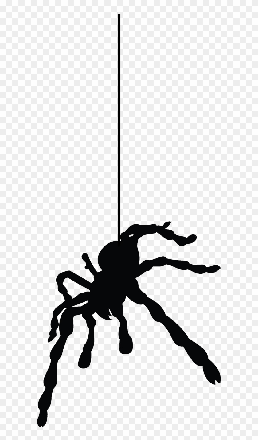 Detail Hanging Spider Png Nomer 5