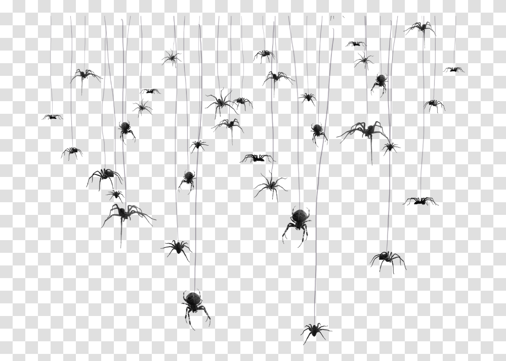 Detail Hanging Spider Png Nomer 39