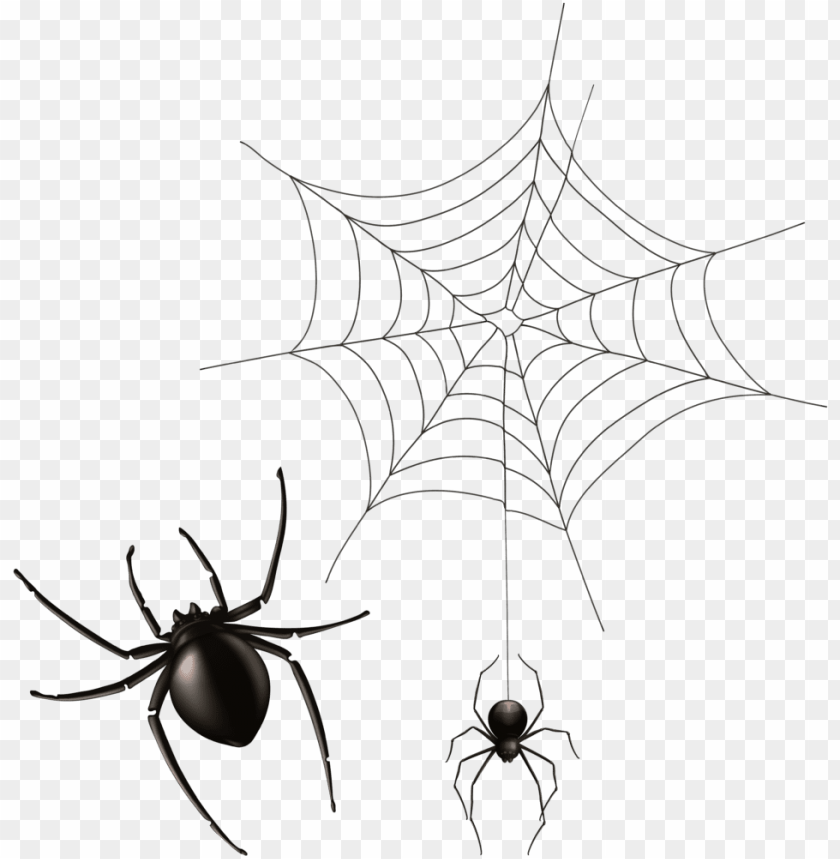 Detail Hanging Spider Png Nomer 40