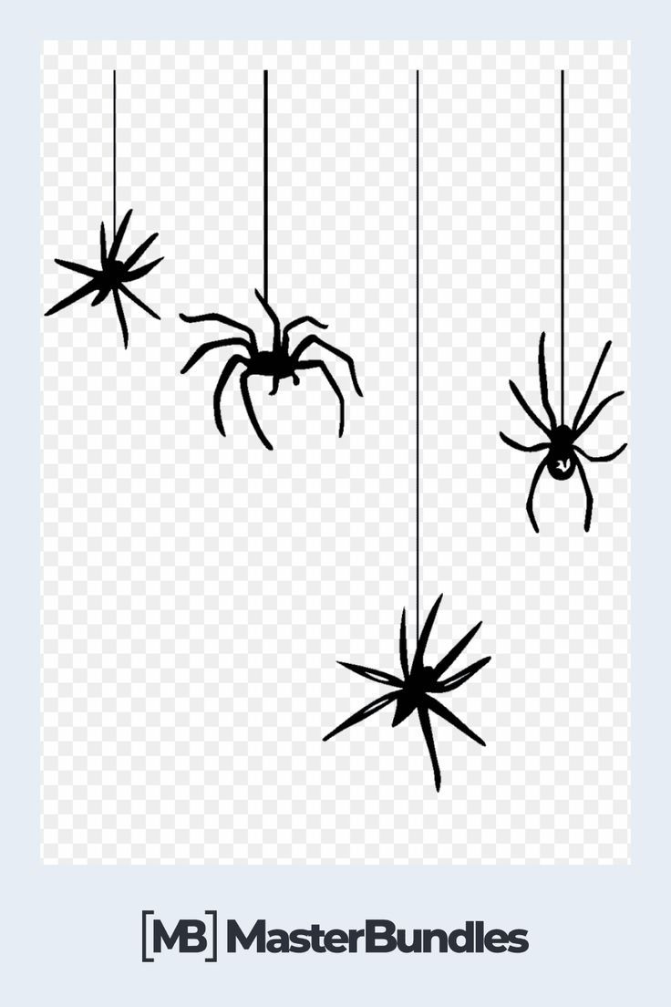 Detail Hanging Spider Png Nomer 41