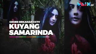 Detail Hantu Timeline Line Nomer 36