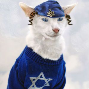 Detail Hanukkah Sweater For Cats Nomer 39