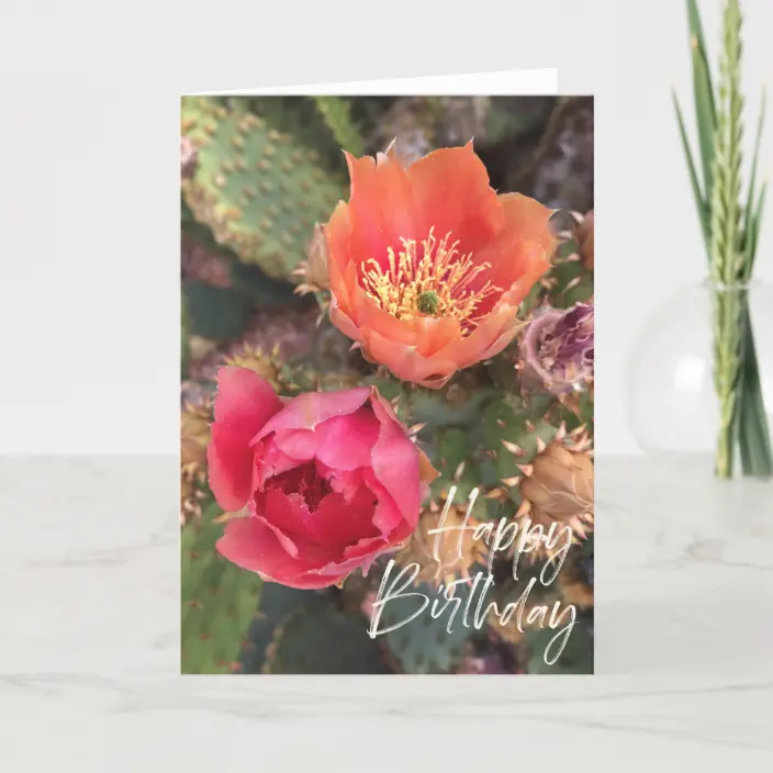 Detail Happy Birthday Cactus Image Nomer 45