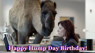 Detail Happy Birthday Camel Images Nomer 50