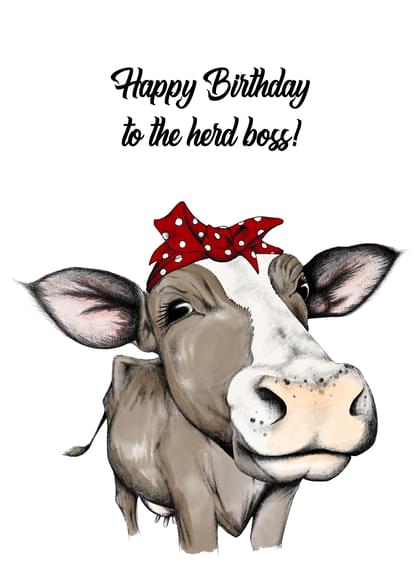 Detail Happy Birthday Cow Images Nomer 14