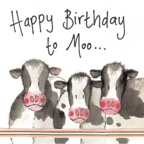 Detail Happy Birthday Cow Images Nomer 9