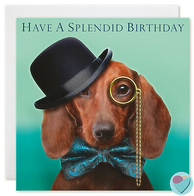 Detail Happy Birthday Dachshund Meme Nomer 31