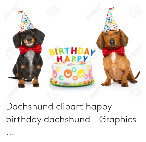 Detail Happy Birthday Dachshund Meme Nomer 39