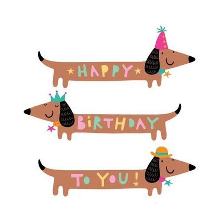 Detail Happy Birthday Dachshund Meme Nomer 42