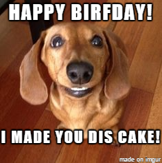 Detail Happy Birthday Dachshund Meme Nomer 53