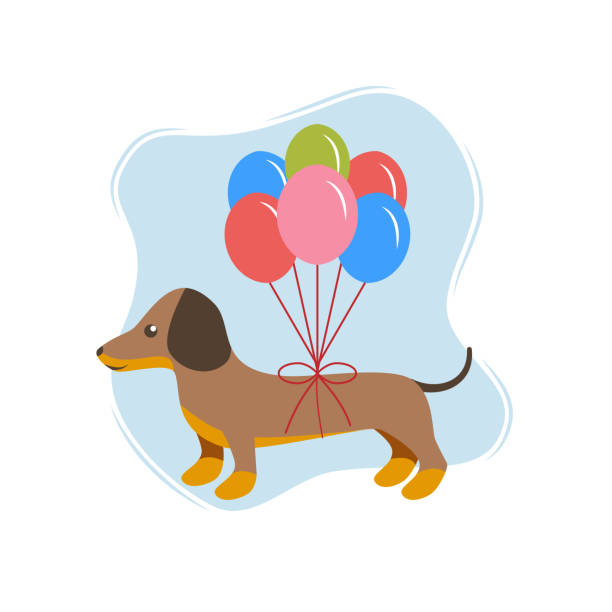 Detail Happy Birthday Dachshund Pictures Nomer 40