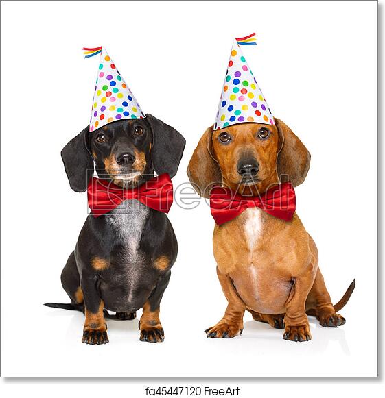 Detail Happy Birthday Dachshund Pictures Nomer 45