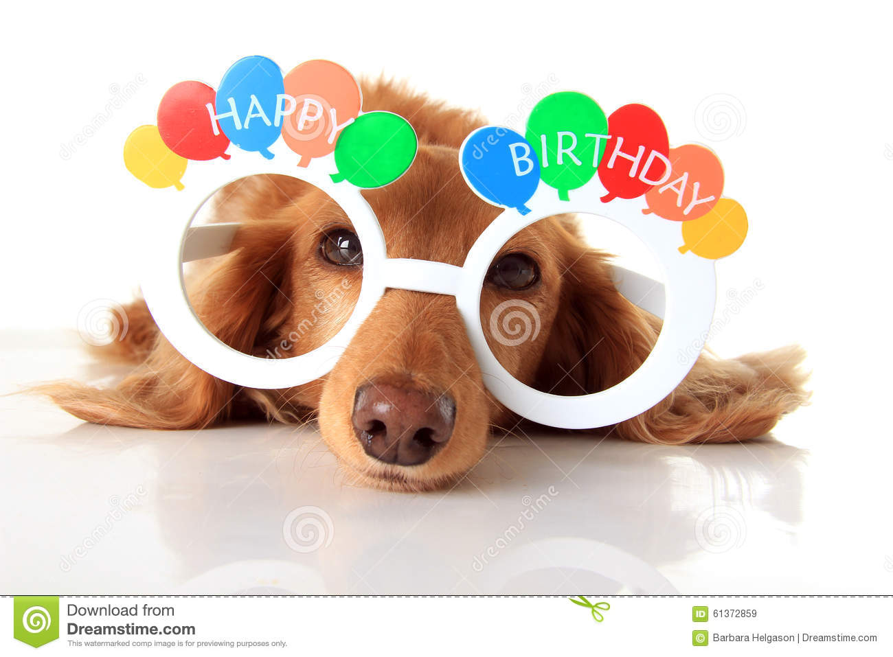 Detail Happy Birthday Dog Clipart Nomer 40