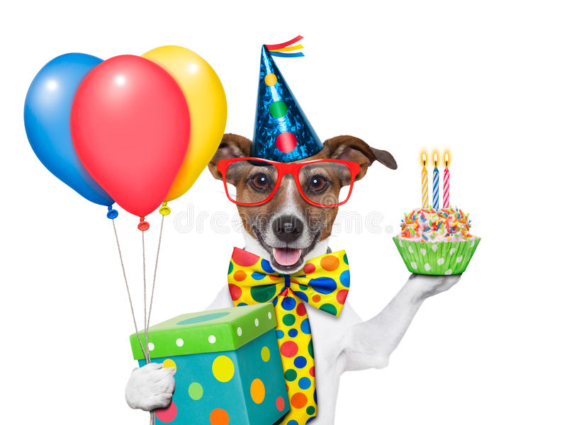 Happy Birthday Dog Images Free - KibrisPDR