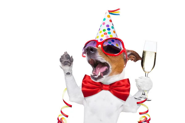 Detail Happy Birthday Dog Images Free Nomer 12