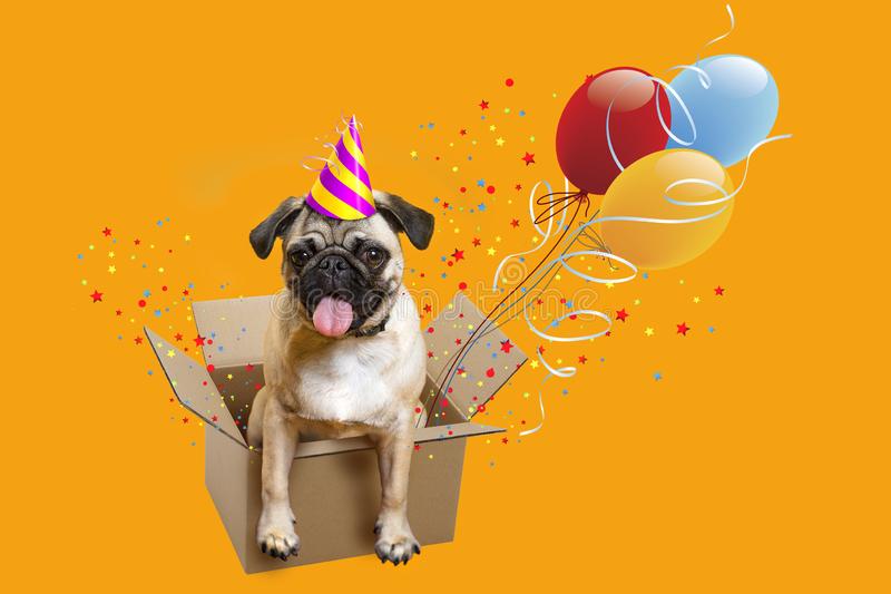 Detail Happy Birthday Dog Images Free Nomer 16