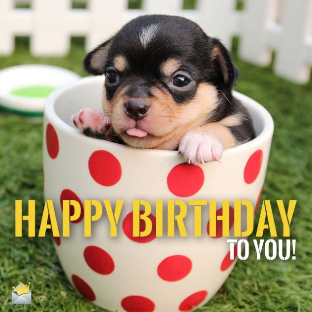 Detail Happy Birthday Dog Images Free Nomer 18