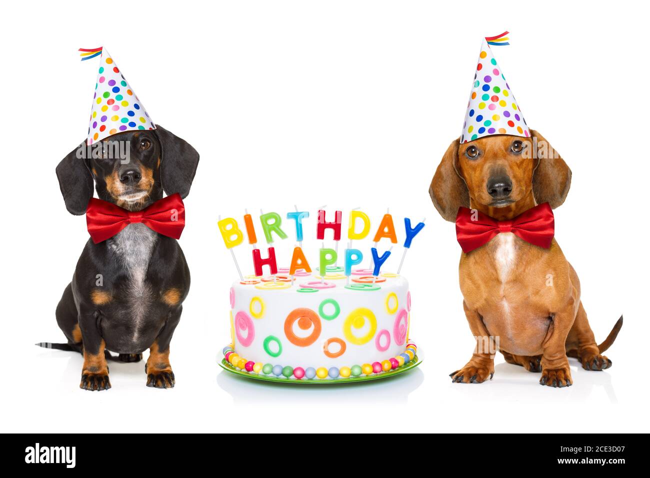 Detail Happy Birthday Dog Images Free Nomer 35