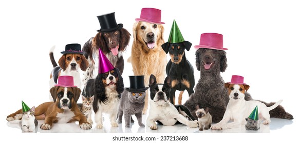 Detail Happy Birthday Dog Images Free Nomer 46