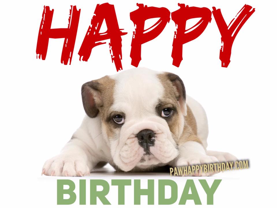 Detail Happy Birthday Dog Images Free Nomer 48