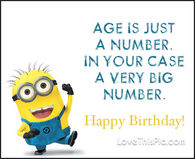 Detail Happy Birthday Funny Quotes Nomer 52