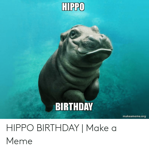 Detail Happy Birthday Hippo Meme Nomer 12