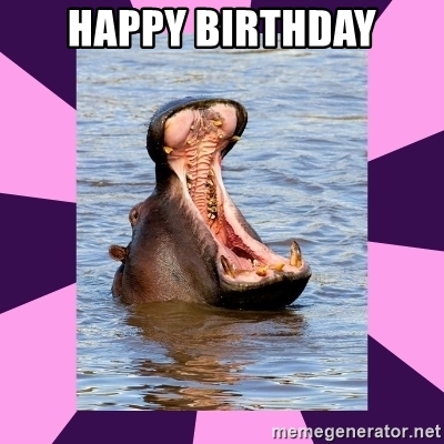 Detail Happy Birthday Hippo Meme Nomer 4