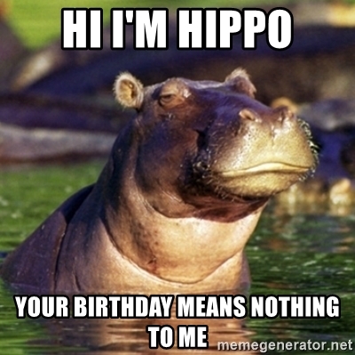 Detail Happy Birthday Hippo Meme Nomer 10