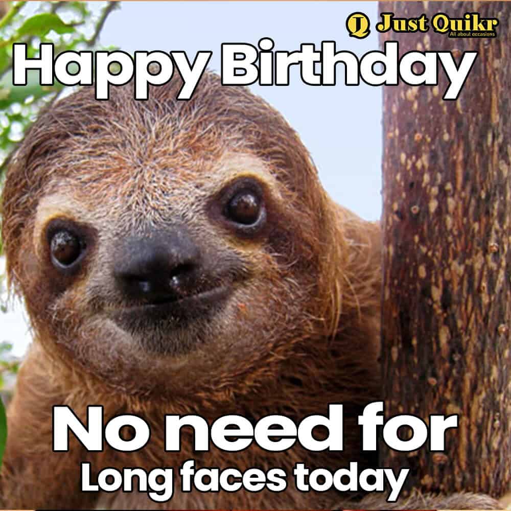 Detail Happy Birthday Meme Sloth Koleksi Nomer 39