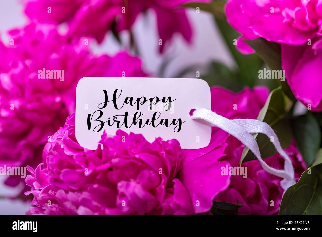 Detail Happy Birthday Pink Images Nomer 45