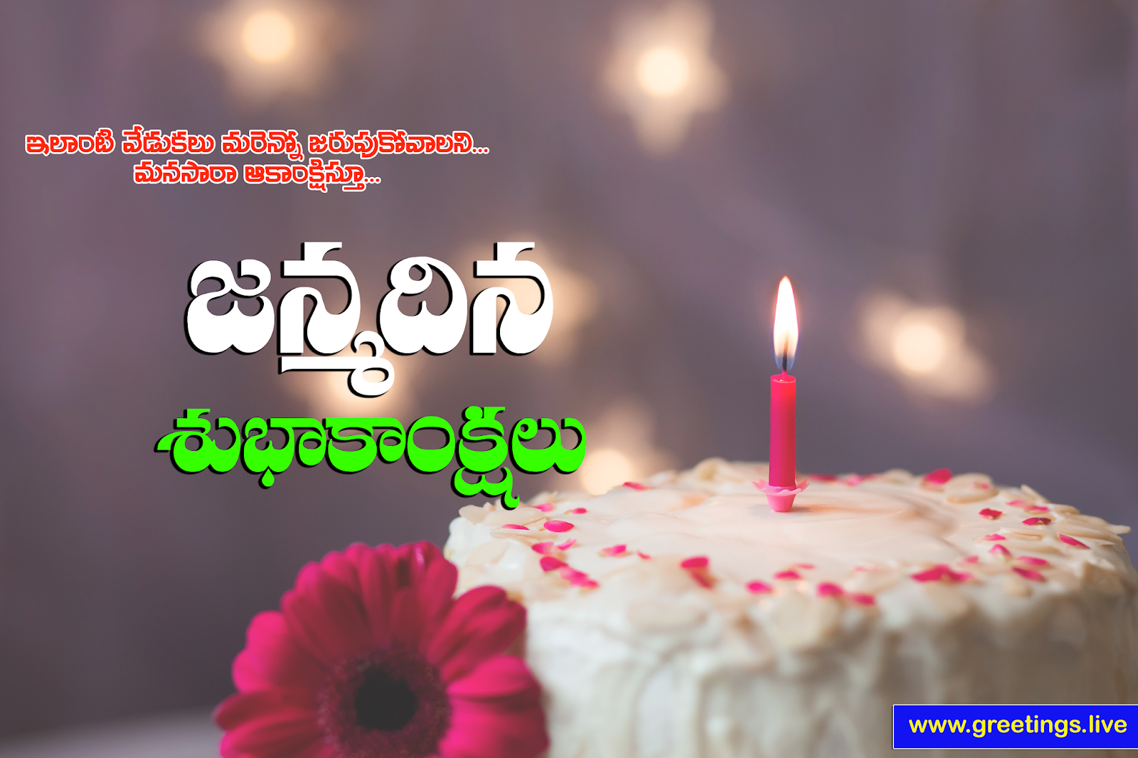 Detail Happy Birthday Quotes In Telugu Nomer 16