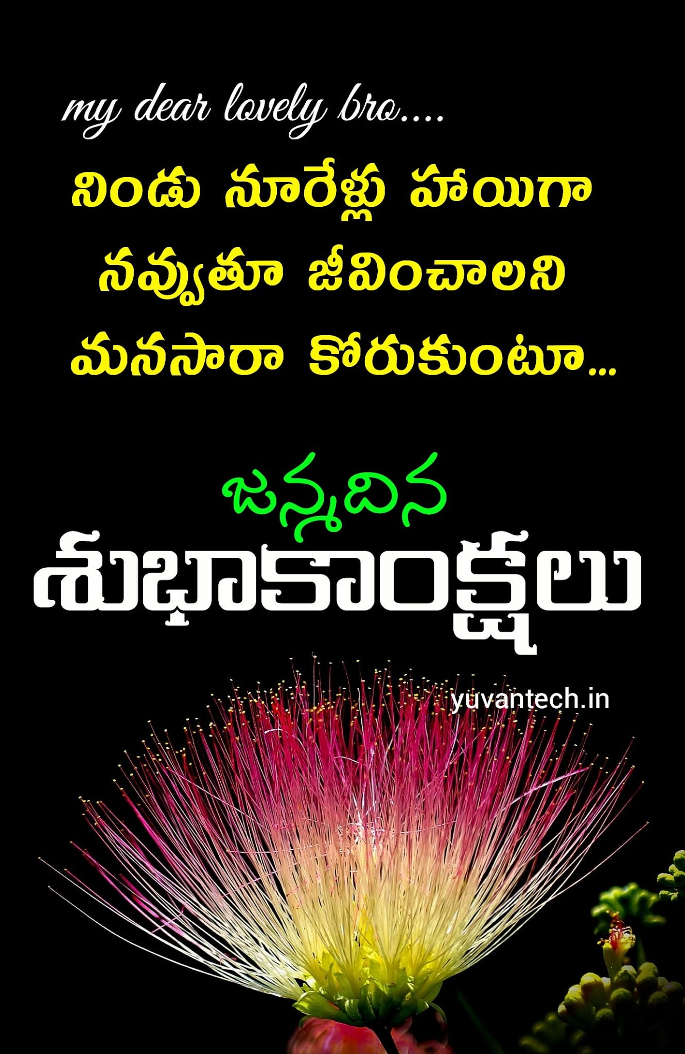 Detail Happy Birthday Quotes In Telugu Nomer 50