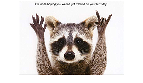 Detail Happy Birthday Raccoon Images Nomer 31