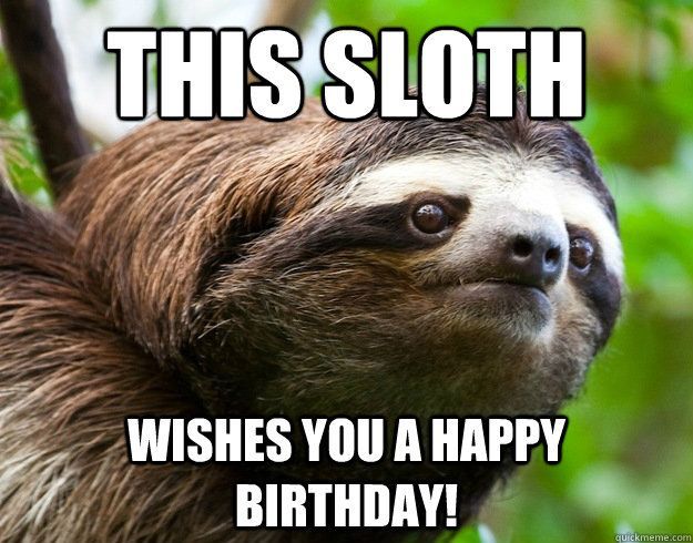 Detail Happy Birthday Sloth Images Nomer 6