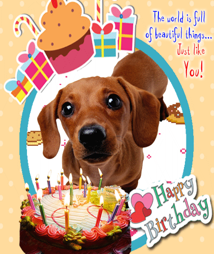 Detail Happy Birthday Weiner Dog Images Nomer 13