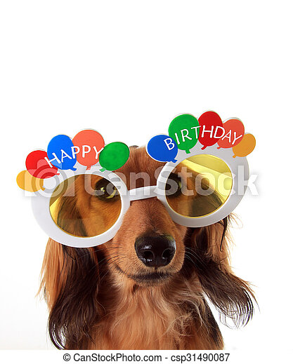 Detail Happy Birthday Weiner Dog Images Nomer 29