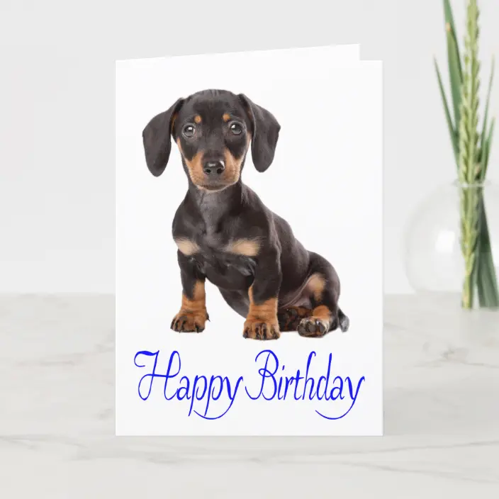 Detail Happy Birthday Weiner Dog Images Nomer 34