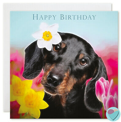 Detail Happy Birthday Weiner Dog Images Nomer 43