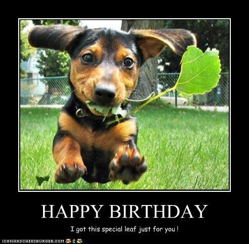 Detail Happy Birthday Weiner Dog Images Nomer 48