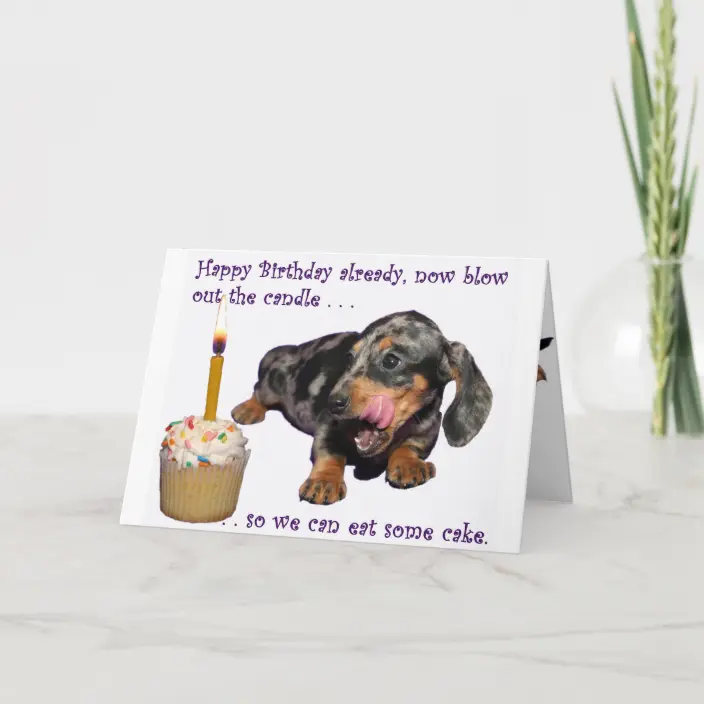 Detail Happy Birthday Weiner Dog Images Nomer 57