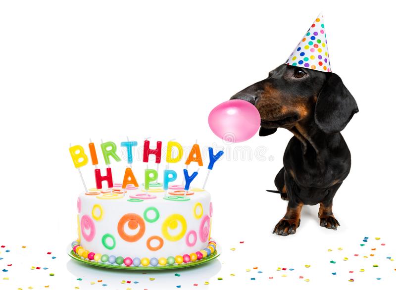 Happy Birthday Wiener Dog Images - KibrisPDR