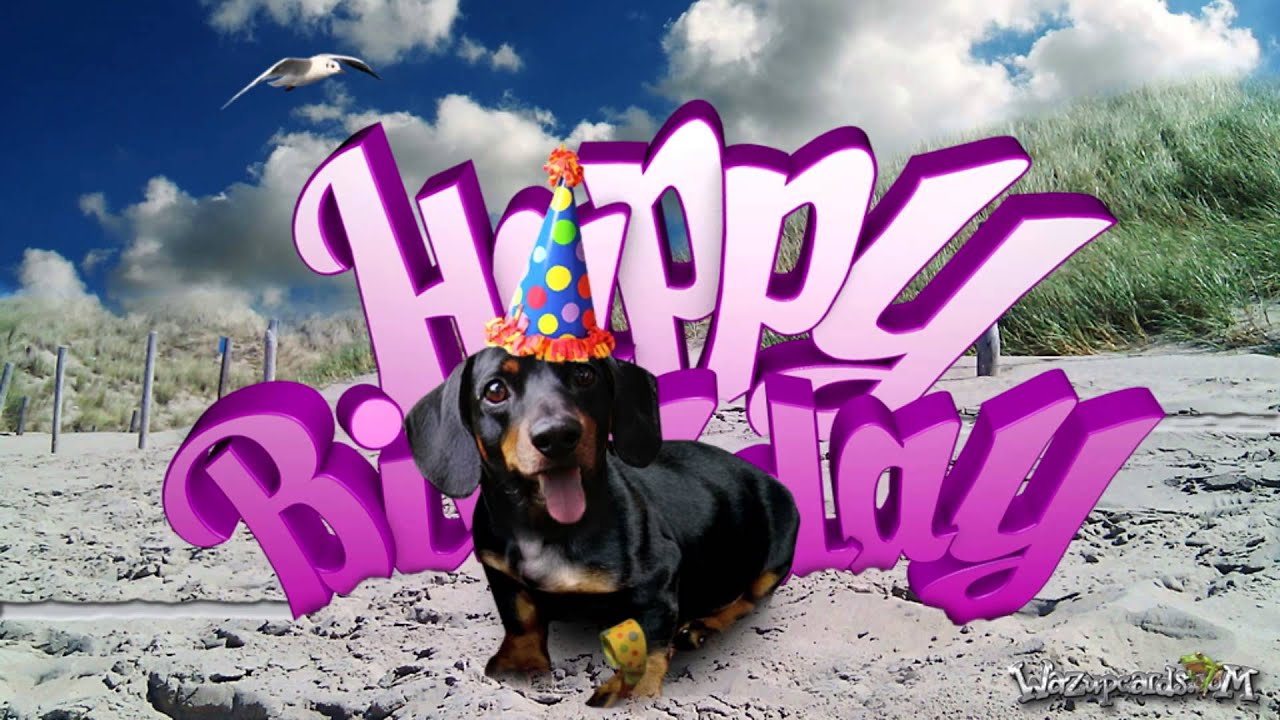 Detail Happy Birthday Wiener Dog Images Nomer 24
