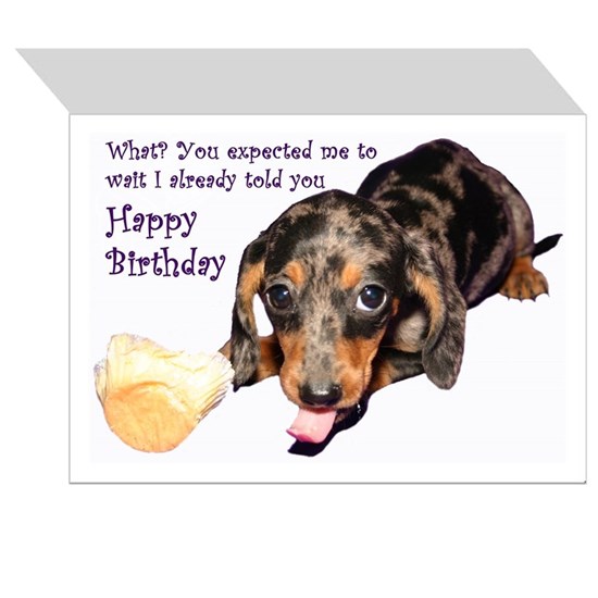 Detail Happy Birthday Wiener Dog Images Nomer 28