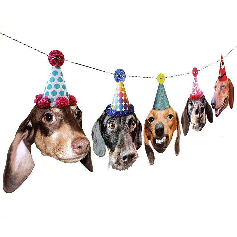 Detail Happy Birthday Wiener Dog Images Nomer 42