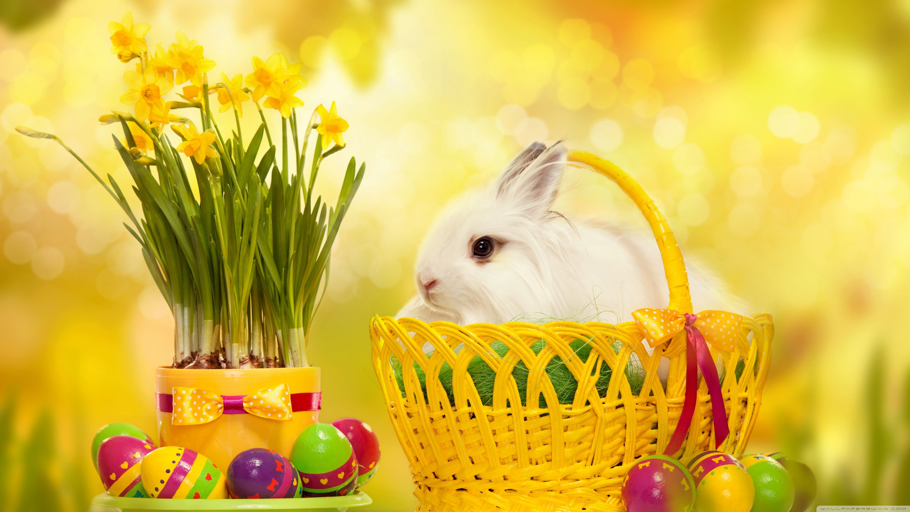 Detail Happy Easter Wallpaper Nomer 27