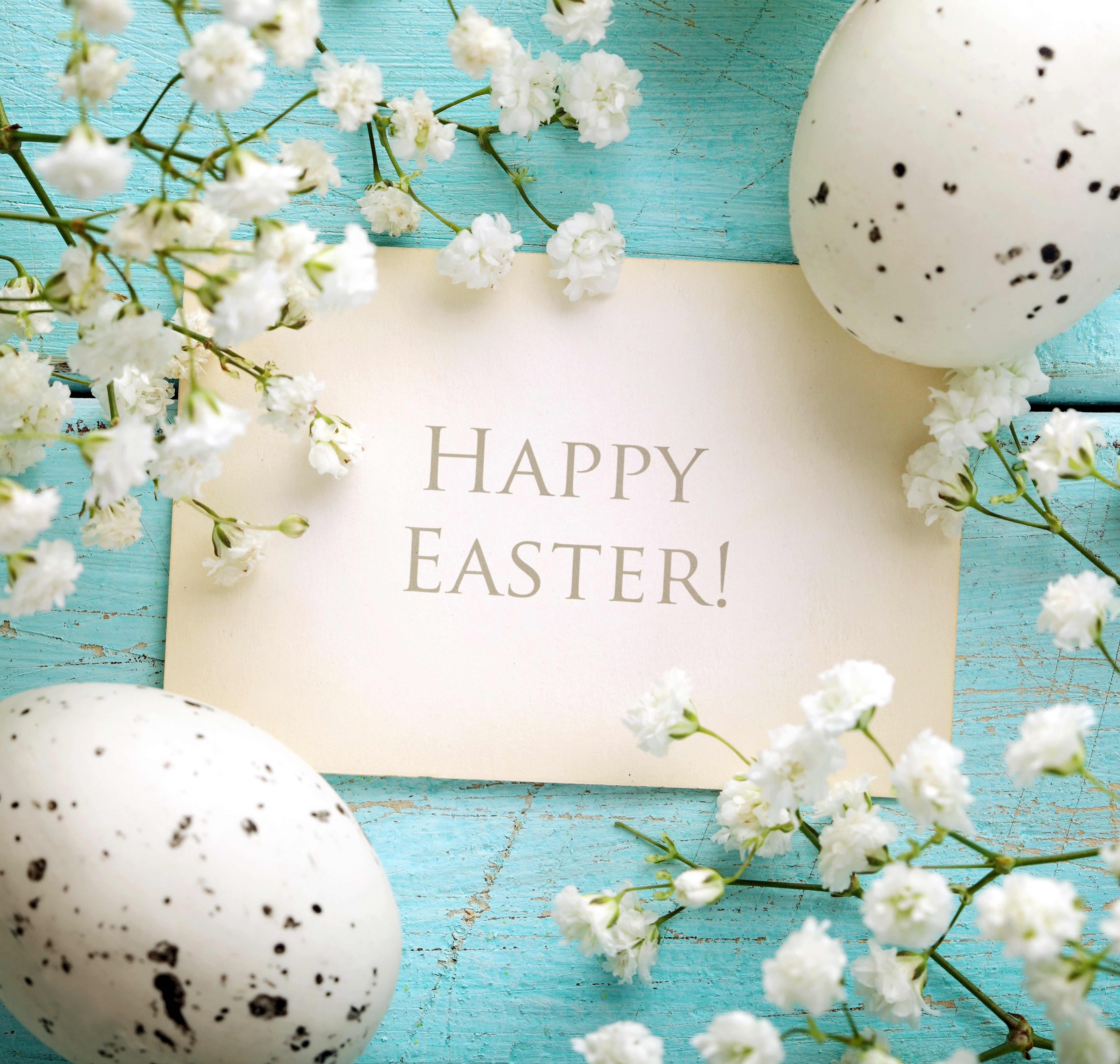 Detail Happy Easter Wallpaper Nomer 8